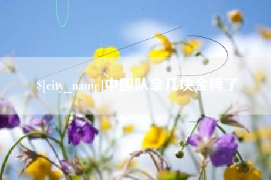 清镇中国队拿几块金牌了