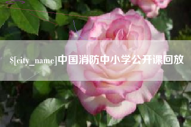 清镇中国消防中小学公开课回放