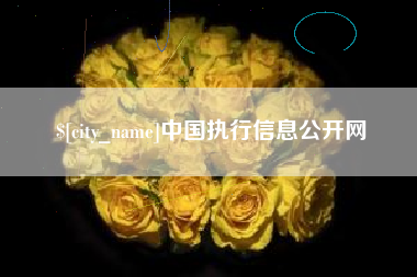 清镇中国执行信息公开网