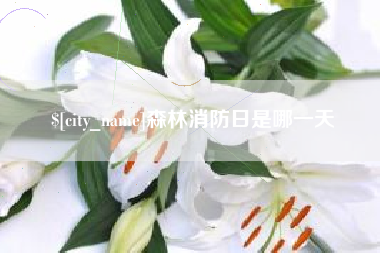 清镇森林消防日是哪一天