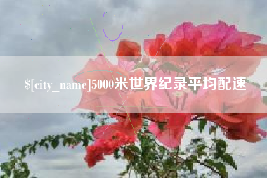 清镇5000米世界纪录平均配速
