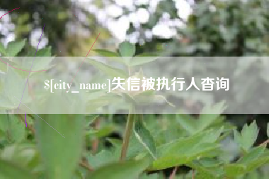 清镇失信被执行人杳询