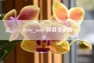 清镇邱县王子磊