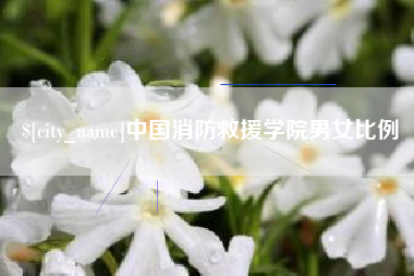 清镇中国消防救援学院男女比例