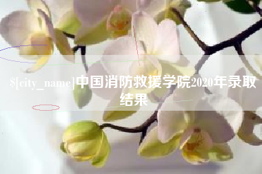 清镇中国消防救援学院2020年录取结果