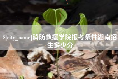 清镇消防救援学院报考条件湖南招生多少分