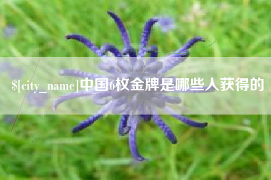 清镇中国6枚金牌是哪些人获得的