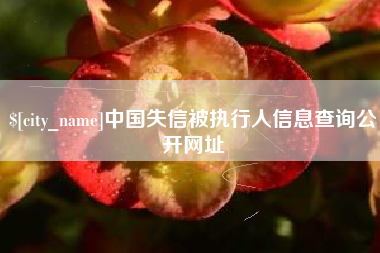 清镇中国失信被执行人信息查询公开网址