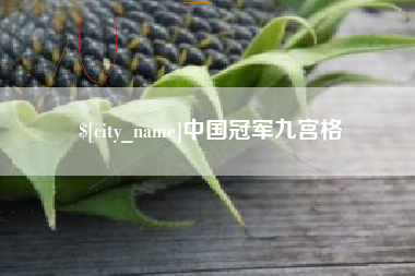 清镇中国冠军九宫格