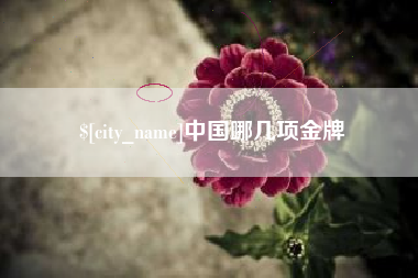 清镇中国哪几项金牌