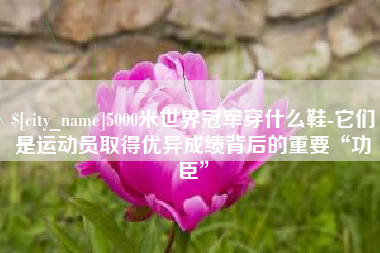 清镇5000米世界冠军穿什么鞋-它们是运动员取得优异成绩背后的重要“功臣”