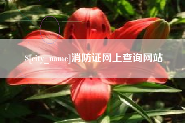 清镇消防证网上查询网站