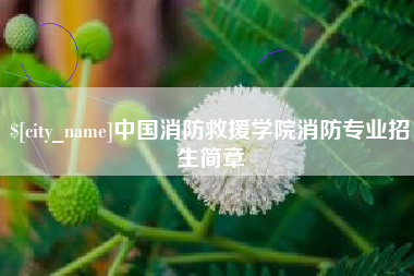 清镇中国消防救援学院消防专业招生简章