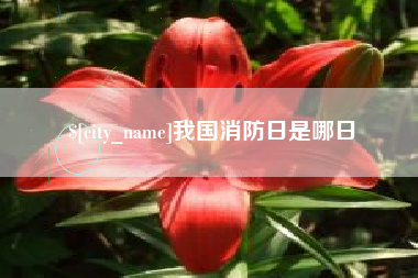 清镇我国消防日是哪日