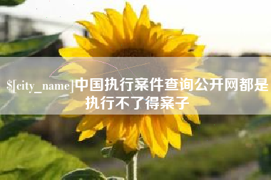 清镇中国执行案件查询公开网都是执行不了得案子