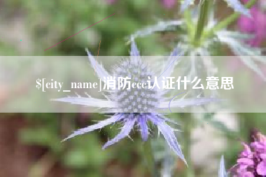 清镇消防ccc认证什么意思