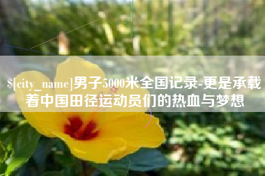 清镇男子5000米全国记录-更是承载着中国田径运动员们的热血与梦想