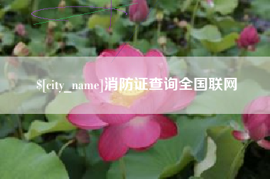清镇消防证查询全国联网