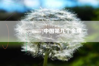 清镇中国第九个金牌