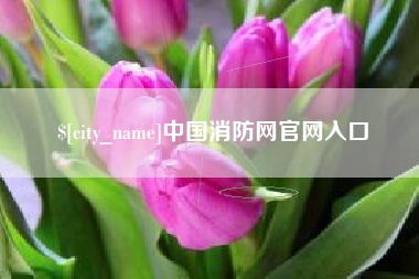 清镇中国消防网官网入口