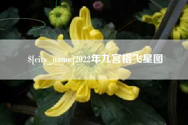 清镇2022年九宫格飞星图