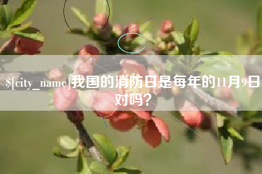 清镇我国的消防日是每年的11月9日对吗？