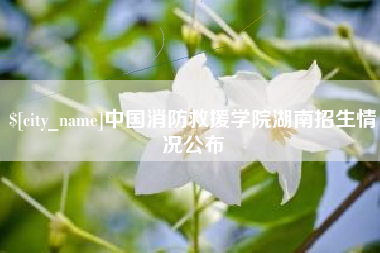 清镇中国消防救援学院湖南招生情况公布
