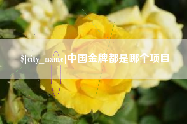清镇中国金牌都是哪个项目