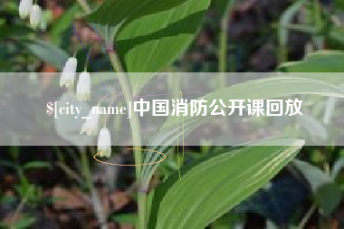 清镇中国消防公开课回放