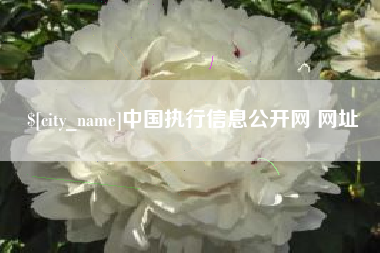 清镇中国执行信息公开网 网址