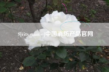 清镇中国消防产品官网