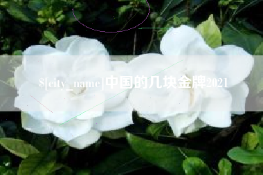 清镇中国的几块金牌2021
