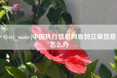 清镇中国执行信息网查到立案信息怎么办