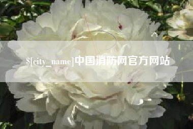 清镇中国消防网官方网站
