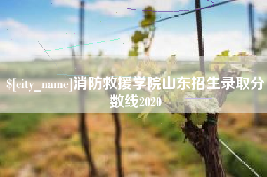 清镇消防救援学院山东招生录取分数线2020