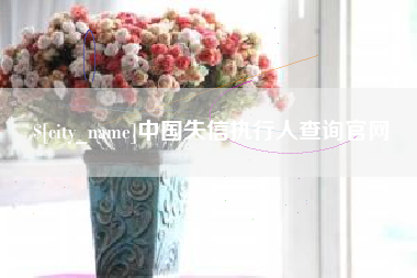 清镇中国失信执行人查询官网