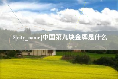 清镇中国第九块金牌是什么