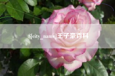 清镇王子豪百科
