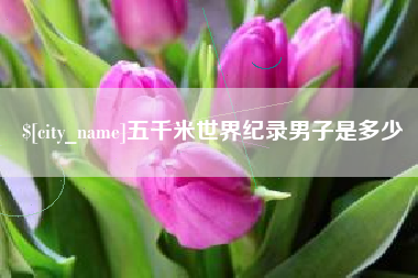清镇五千米世界纪录男子是多少