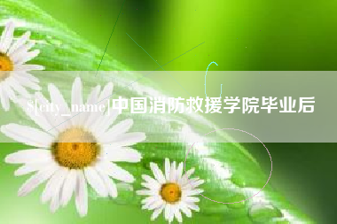 清镇中国消防救援学院毕业后