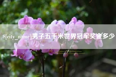 清镇男子五千米世界冠军奖金多少