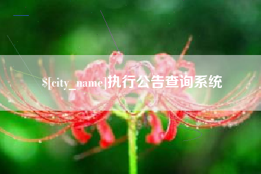 清镇执行公告查询系统