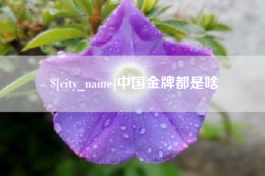 清镇中国金牌都是啥