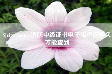 清镇消防中级证书电子版查询多久才能查到