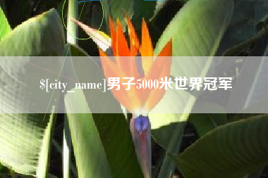 清镇男子5000米世界冠军
