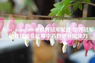清镇5000米世界冠军配速-世界冠军们往往能在比赛中巧妙地分配体力
