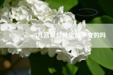 清镇九宫星位是定位不变的吗