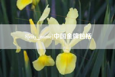 清镇中国金牌包括