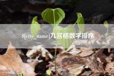 清镇九宫格数字排序