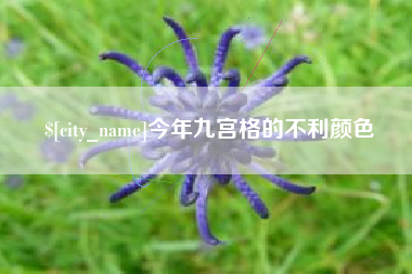 清镇今年九宫格的不利颜色